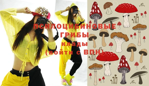 стафф Киреевск