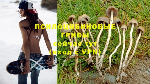 стафф Киреевск