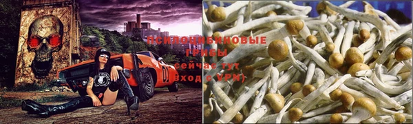 спайс Киренск