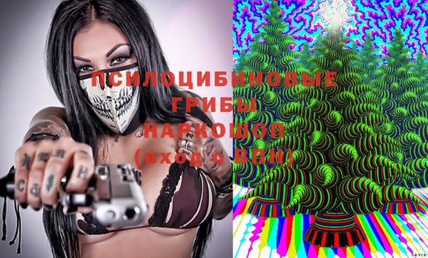 стафф Киреевск