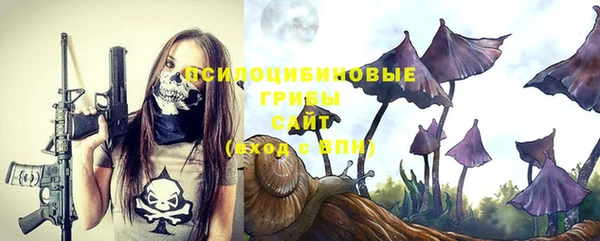 ГАЛЛЮЦИНОГЕННЫЕ ГРИБЫ Кинешма