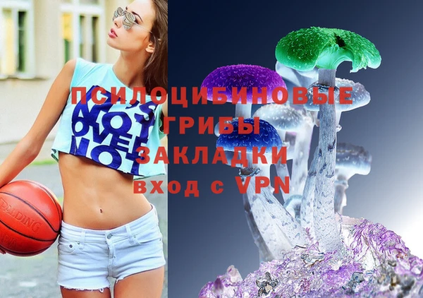ГАЛЛЮЦИНОГЕННЫЕ ГРИБЫ Кинешма